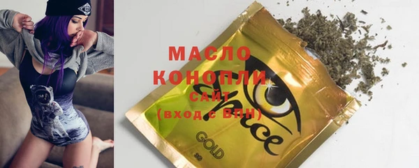 СК Новодвинск