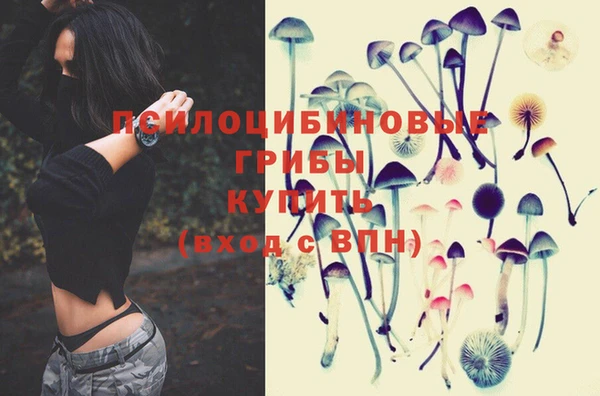 прущие крисы Новокубанск