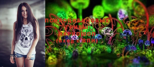 дурь Новозыбков