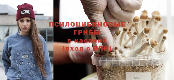 прущие крисы Новокубанск