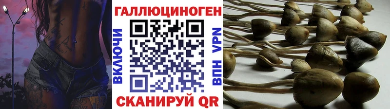 Купить  Одинцово  Галлюциногенные грибы Psilocybine cubensis 